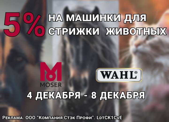 4 - 8 декабря 2023